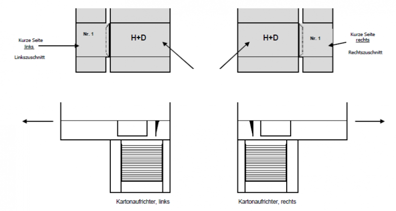 Bedruckte Kartons beim Einsatz in Kartonaufrichter Bedruckte Kartons beim Einsatz in Kartonaufrichter