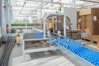 Automatisches Aufrichten von Kartons im Sekundentakt bei großen Versandvolumen.